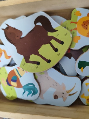 AS Magnet Box Farm Animals Set with 19 Magnets like new