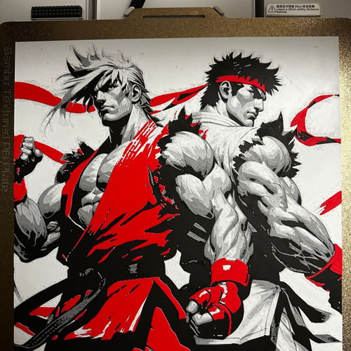 3D embossed image Ken and Ryu from Streetfighter, new
