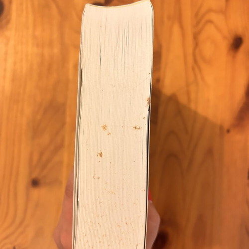 Jennifer Donnelly The Rose novel