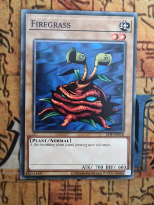 Firegrass κάρτα Yu-Gi-Oh! σαν καινούργιο