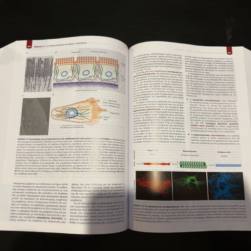 Molecular Cell Biology new edition 2019 by Utopia