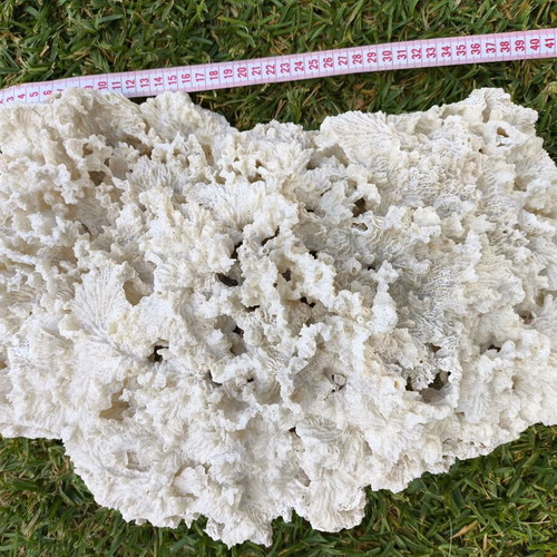 Old Marine Decorative Coral like new, 45 cm length