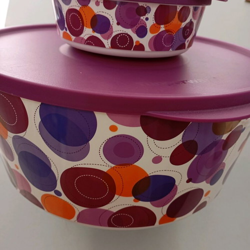 Set of 2 Collectible Artist Bowls Tupperware like new