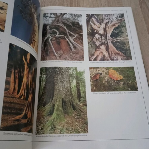 South Africa Magnificent Land book like new, English