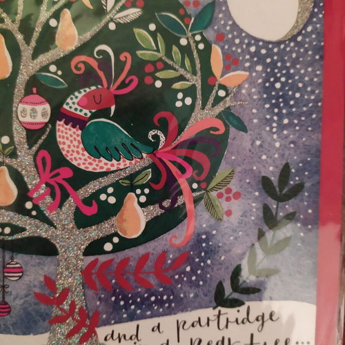 Rachel Ellen Christmas greeting card new, 15 x 15 cm