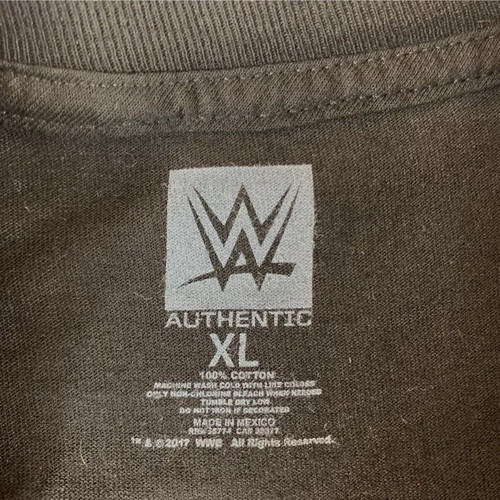 WWE Fastlane T Shirt Owens Vs Goldberg Match authentic tee size XL black like new