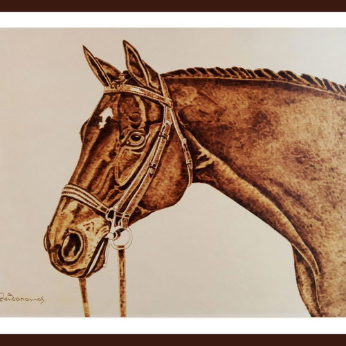 Horse portrait pyrography painting on linden wood