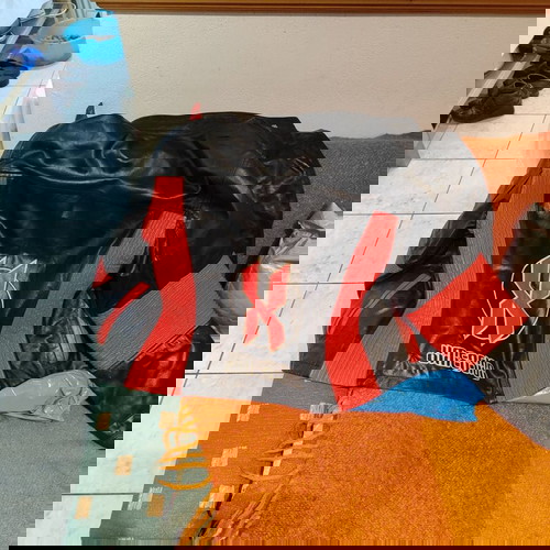 Δερμάτινο μπουφάν μηχανής Essenza