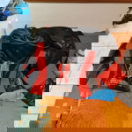 Δερμάτινο μπουφάν μηχανής Essenza