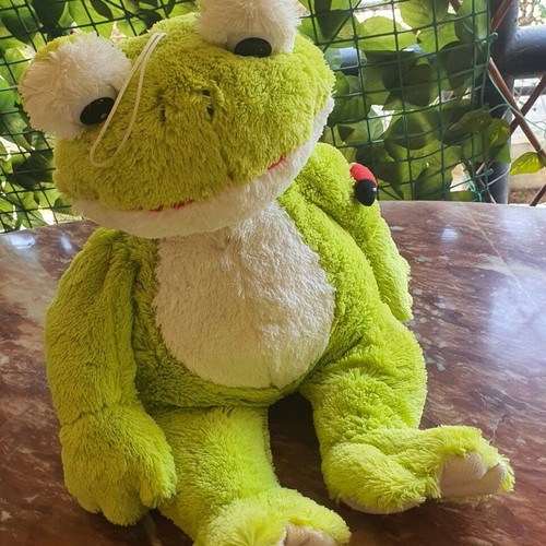 Plush Frog like new