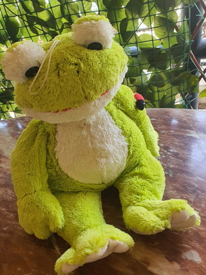 Plush Frog like new