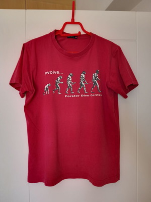 Evolve t-shirt used, size Medium, red with minor defects
