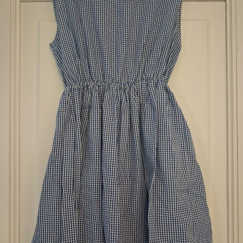 Regalinas sleeveless blue and white check dress
