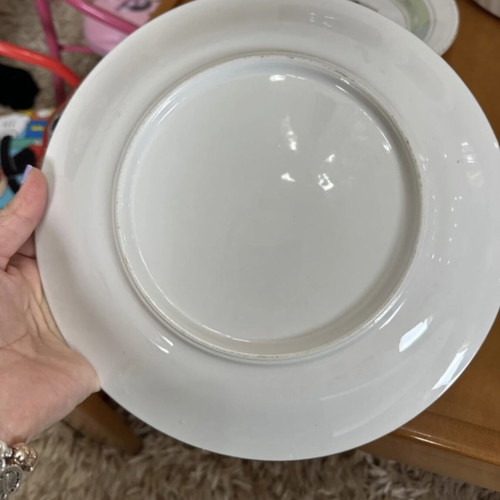 Plate used with rose design