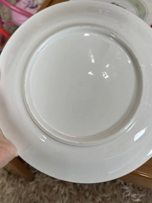 Plate used with rose design