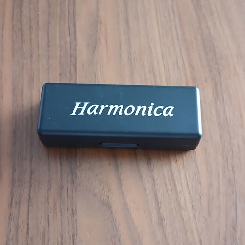 Diatonic Harmonica 10 Holes New with Case