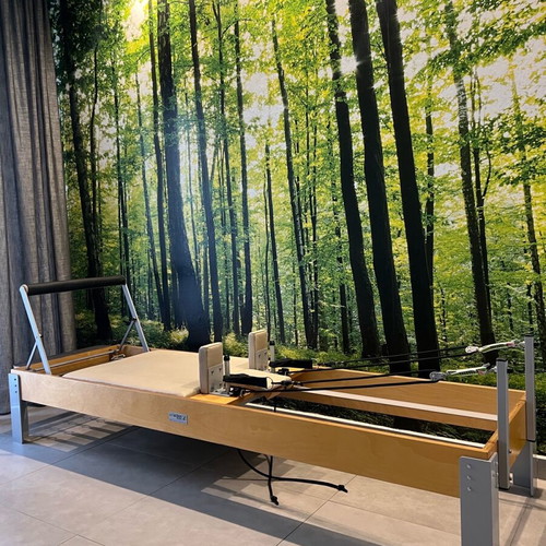 Pilates Reformer bed used with 5 resistances Artaction