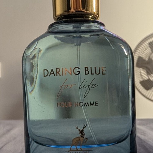 Dolce & Gabbana Light Blue Eau Intense Pour Homme 100ml used with Maison Alhambra Daring Blue gift