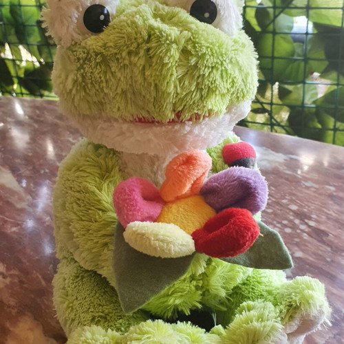 Plush Frog like new with colorful flower