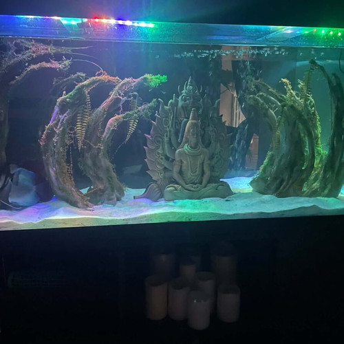 Handmade aquarium decoration like new, acrylic colors