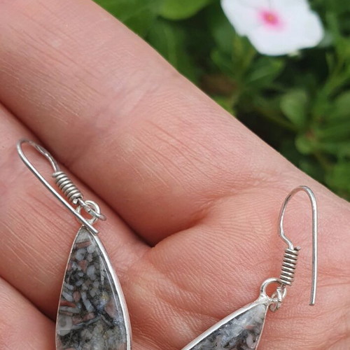 Fossil Crinoid Earrings silver plated 925 new