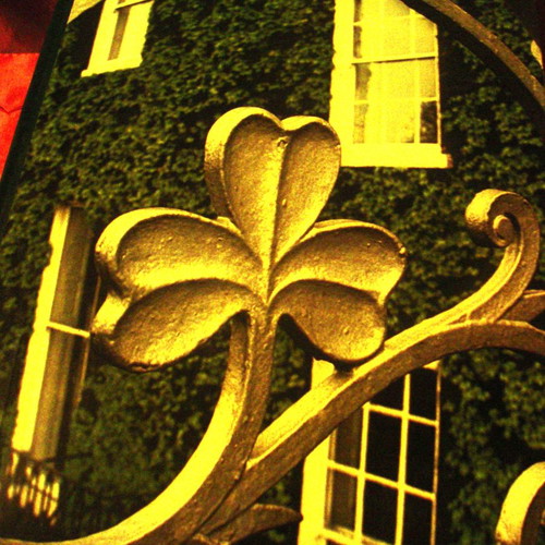 The Great Cities Dublin book new