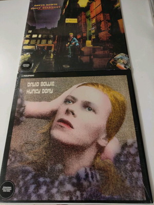 David Bowie The Rise And Fall of Ziggy Stardust & Hunky Dory 2LPs