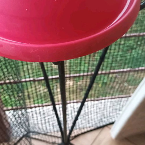Slow feeder bowl used, medium size, fuchsia