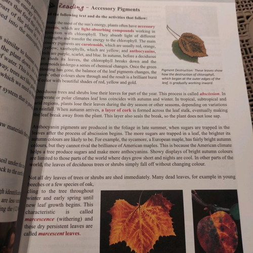 The Earth in a Nutshell Malivitsi & Perdiki new English learning book