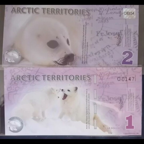 Fantasy Arctic Territories Polymer Notes, pack of 4