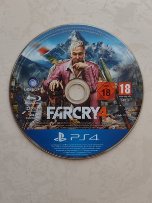 Far Cry 4 PS4 game
