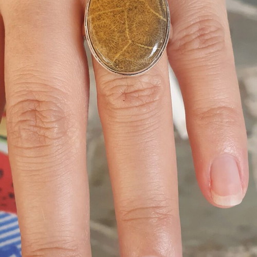 Polished Coral Fossil Ring silver plated size USA9 new