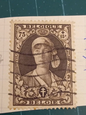 Γραμματόσημο Βελγίου 1931 σαν καινούργιο, struggle against tuberculosis