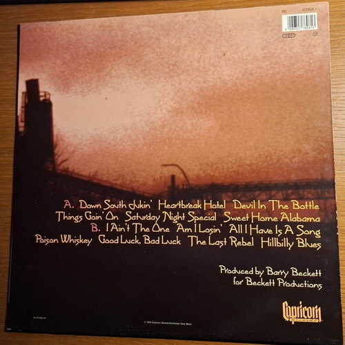 Lynyrd Skynyrd Endangered Species LP like new, rock