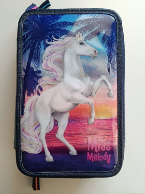 Miss Melody triple pencil case used