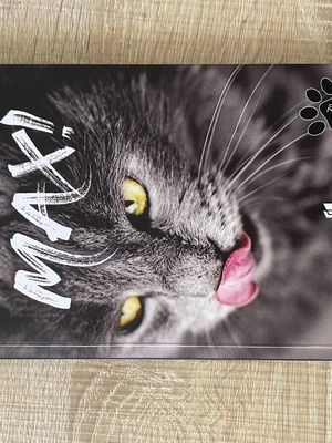 Max humorous book by ΦυστικιπουΚυλαει like new