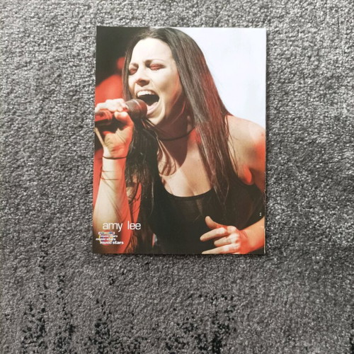 Amy Lee/A.M.A.N. double-sided poster like new