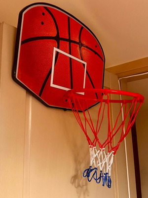 Basketball Backboard 60.5x45.5cm with Metal Hoop and Net new