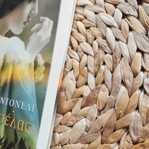 Northern Lights by Jennifer Donnelly used, Greek edition