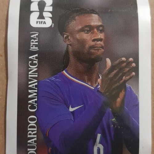 Eduardo Kamavinga Panini FIFA World Cup sticker new
