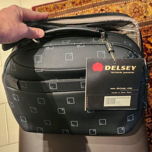 Desley beauty case new