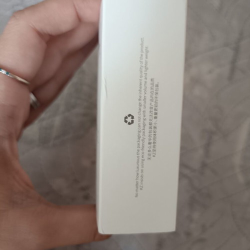 KZ Castor Silver Edition earbuds