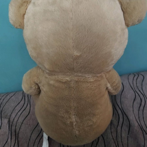 Large teddy bear with hearts used