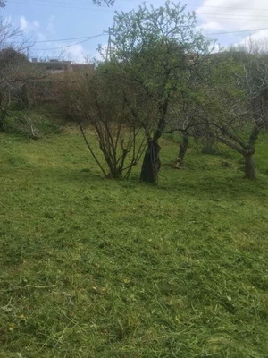 Οικοπεδο