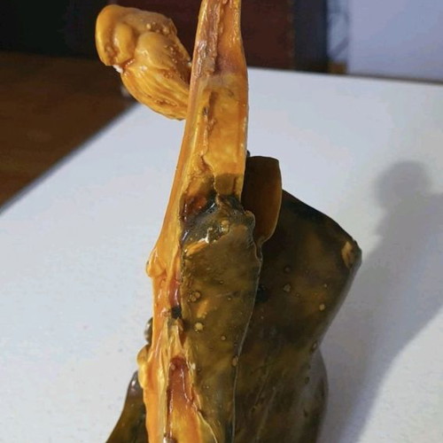 Wax violin replica in excellent condition, 21 cm tall