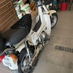 Honda Chaly 1982 used, 50 cc white moped