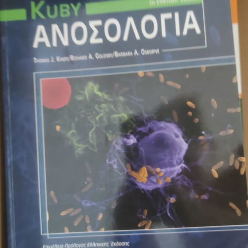Langman's Basic Medical Embryology book