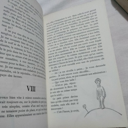 Le Petit Prince and Bescherelle French language books like new