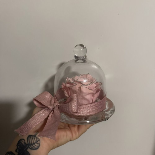 Forever Rose in Glass