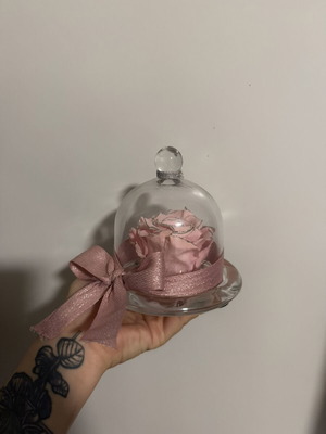 Forever Rose in Glass
